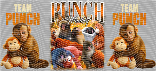 16oz Latest Bestseller-C 8271